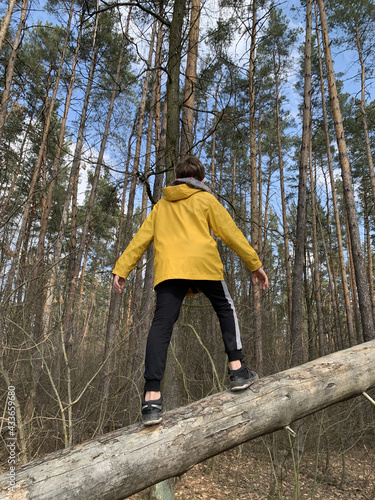 The boy stands on the trunk of a fallen tree. Teenager on a log, back view. A child in the forest stands on a dry tree.