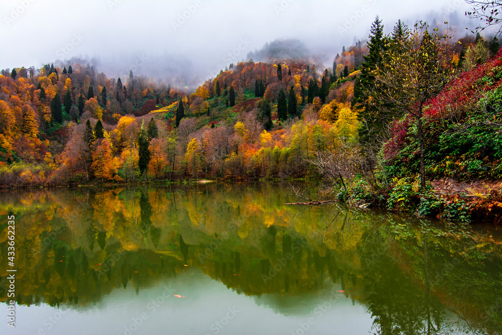 Borcka Karagol ( Black Lake ) in Artvin Province of Turkey Borcka Karagol ( Black Lake ) in Artvin Province of Turkey