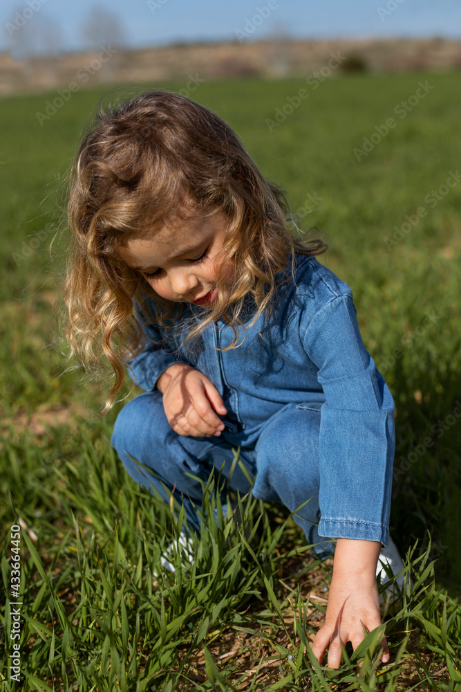 Cute child sitting in green field on sunny day and playing with grass in summer Cute child sitting in green field on sunny day and playing with grass in summer