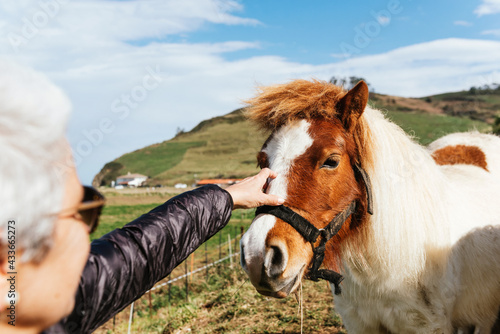 Crop unrecognizable elderly female in sunglasses caressing mare with fluffy mane in countryside field under cloudy sky photo