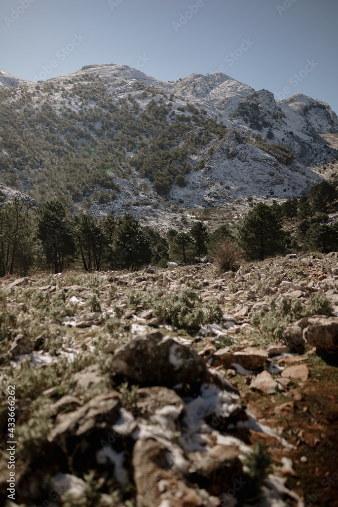 Scenic view of mount with green trees and snow against rough terrain on sunny day Scenic view of mount with green trees and snow against rough terrain on sunny day