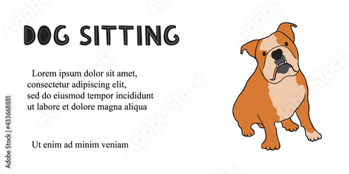 Web banner with dog and text Dog sitting. Concept of business, holiday and petcare. Trendy flat vector illustration