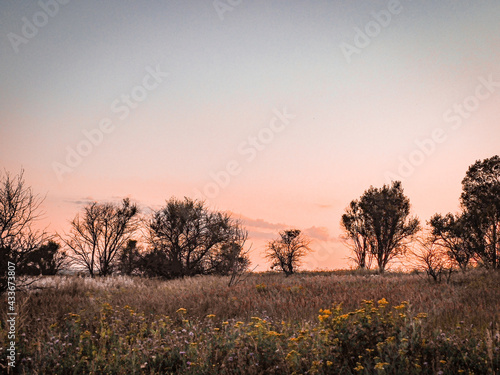 sunset in the countryside, field
