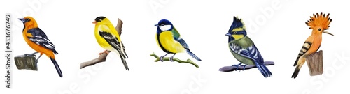 Obraz na plátně Watercolor set with birds isolated on white background.