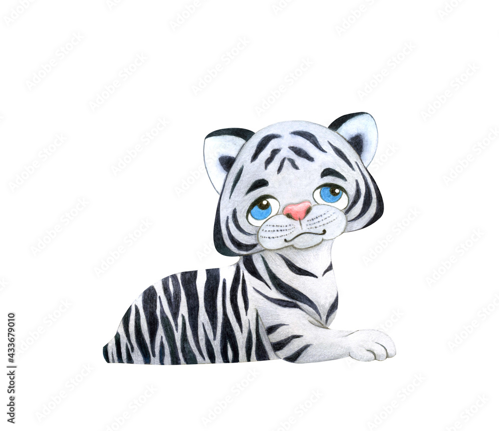 A cute white tiger cub with blue eyes lies and smiles. Watercolor illustration isolated on white background in cartoon style.