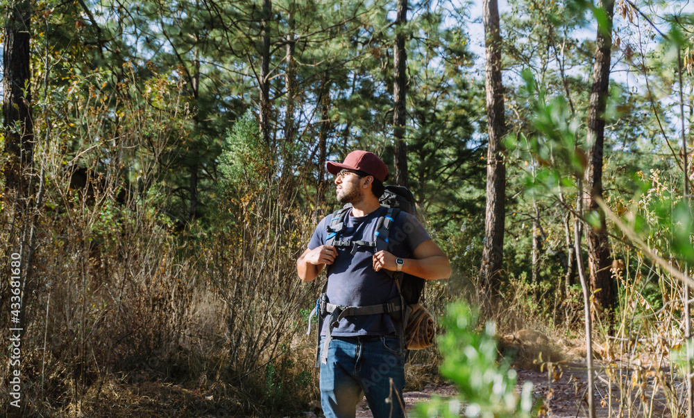 Bearded male backpacker in cap walking among trees and plants in woods in sunny day Bearded male backpacker in cap walking among trees and plants in woods in sunny day