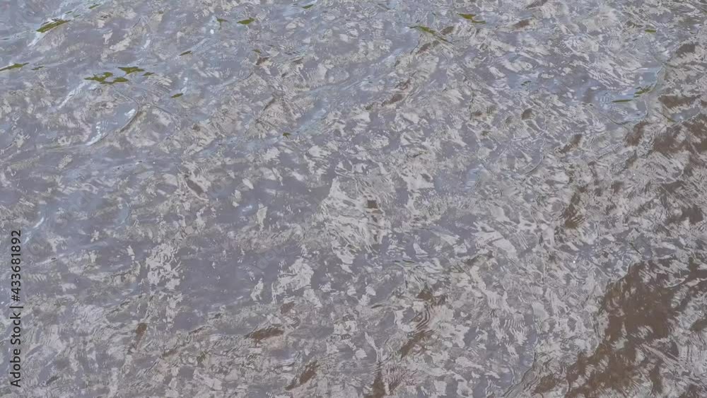 The water in the pond moves from the wind. A beautiful natural place. The water in the pond moves from the wind. A beautiful natural place.