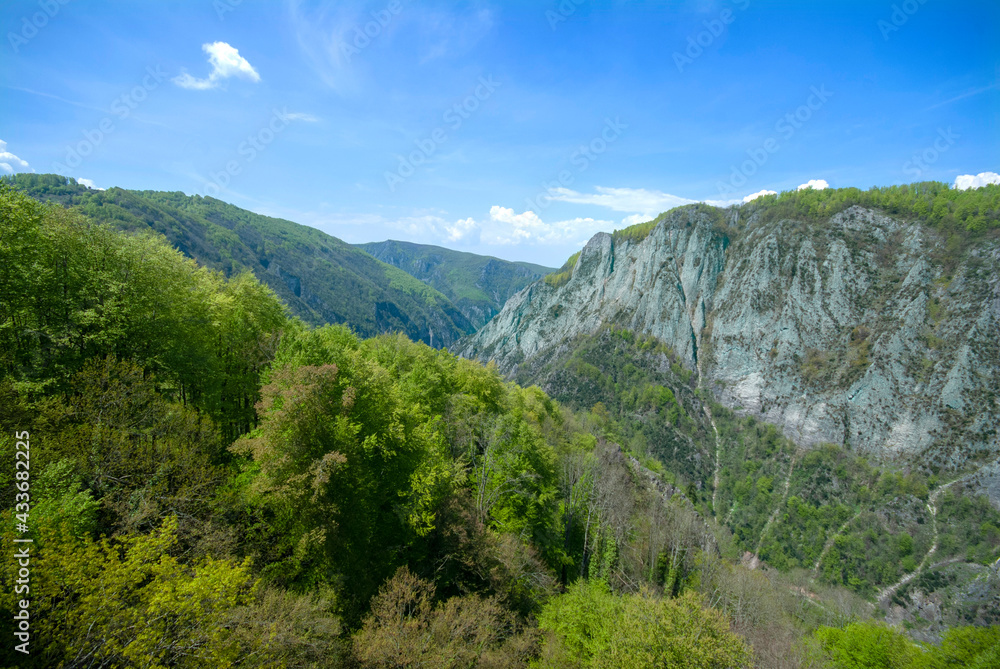 In the spring, flowers bloom in the highlands. Violet Plateau, İzmit Turkey. In the spring, flowers bloom in the highlands. Violet Plateau, İzmit Turkey.