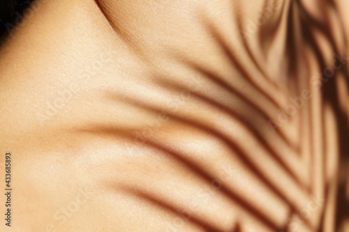 Crop anonymous tender female with plant shade on chest in sunlight