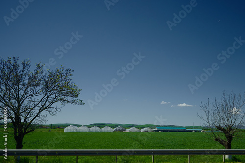 Agriculture in Russia, rows of small greenhouses covered with plastic wrap