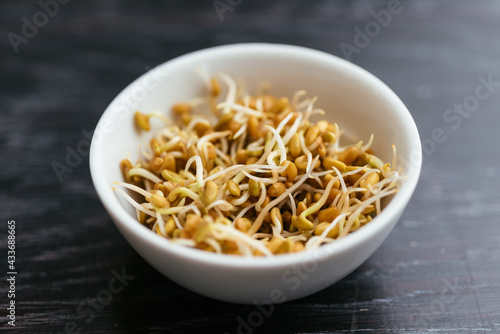 Fenugreek sprouts in a small bowl