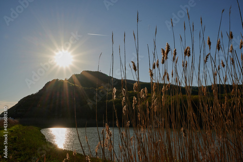 view of the sun shining through the mountain to the lake and dried flowers
