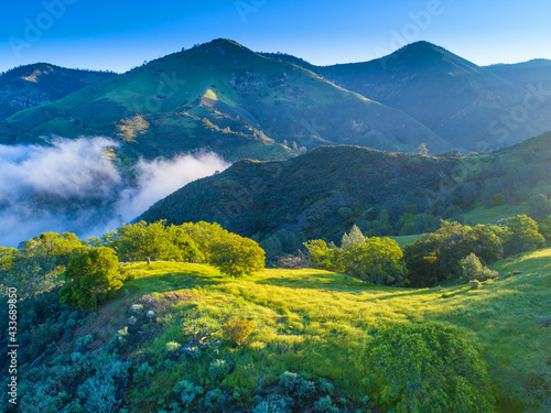 aerial view of blue oaks covering hillsides at sunrise, Figueroa Mountain area above the Santa Ynez Valley, California
