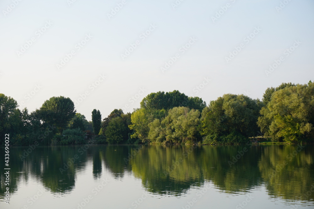 reflection of trees in the water