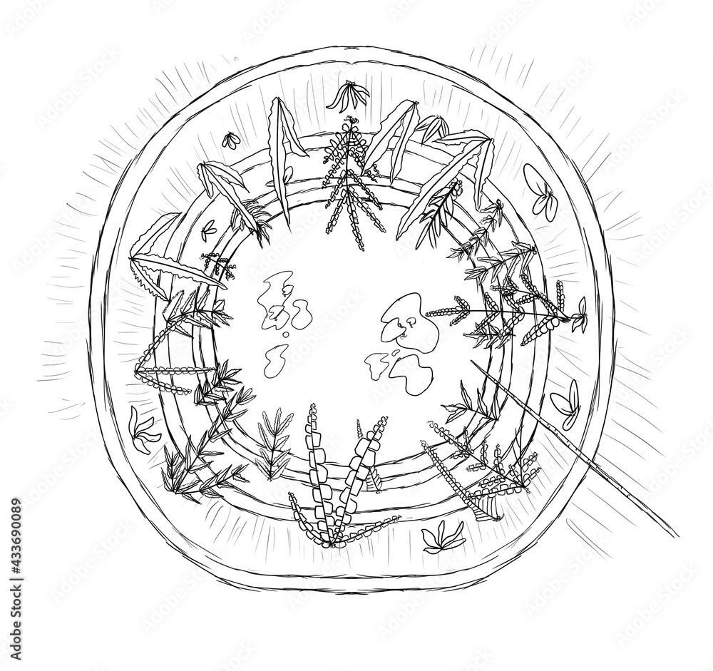 Fototapeta premium Kerala Drawing Water Well and Leaf