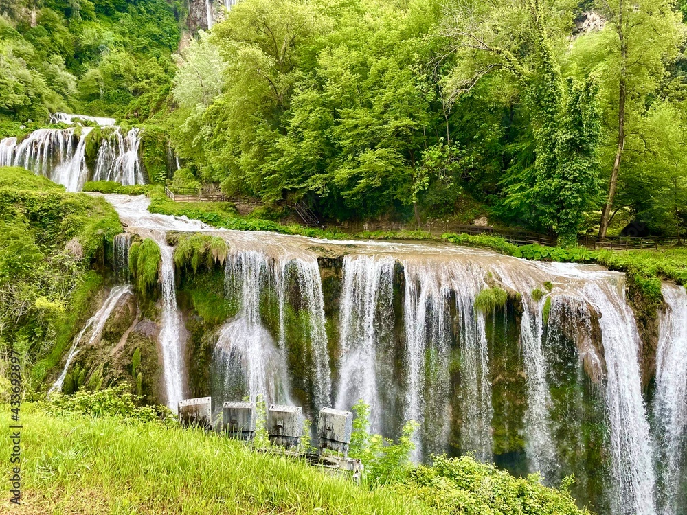 Obraz premium waterfall in the forest