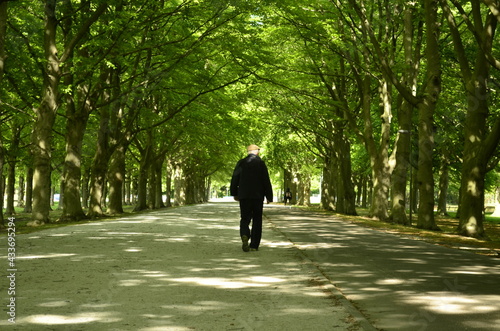 Old man walking in the park