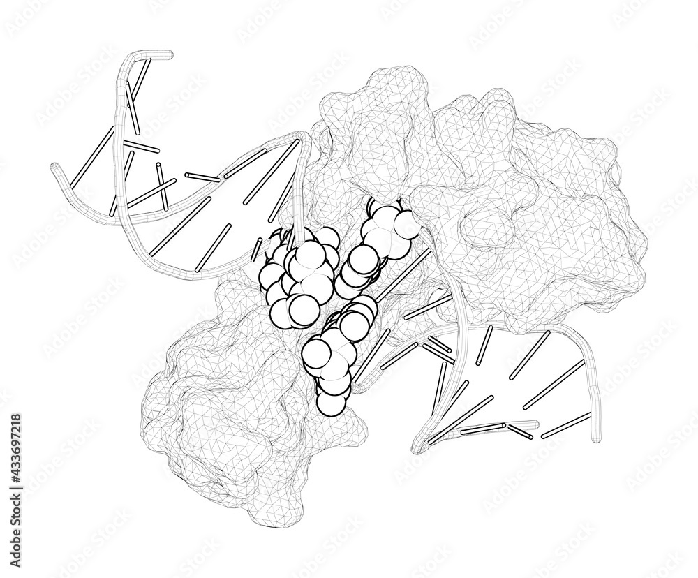3D rendering as a line drawing of a molecule. CH···O Hydrogen Bonds