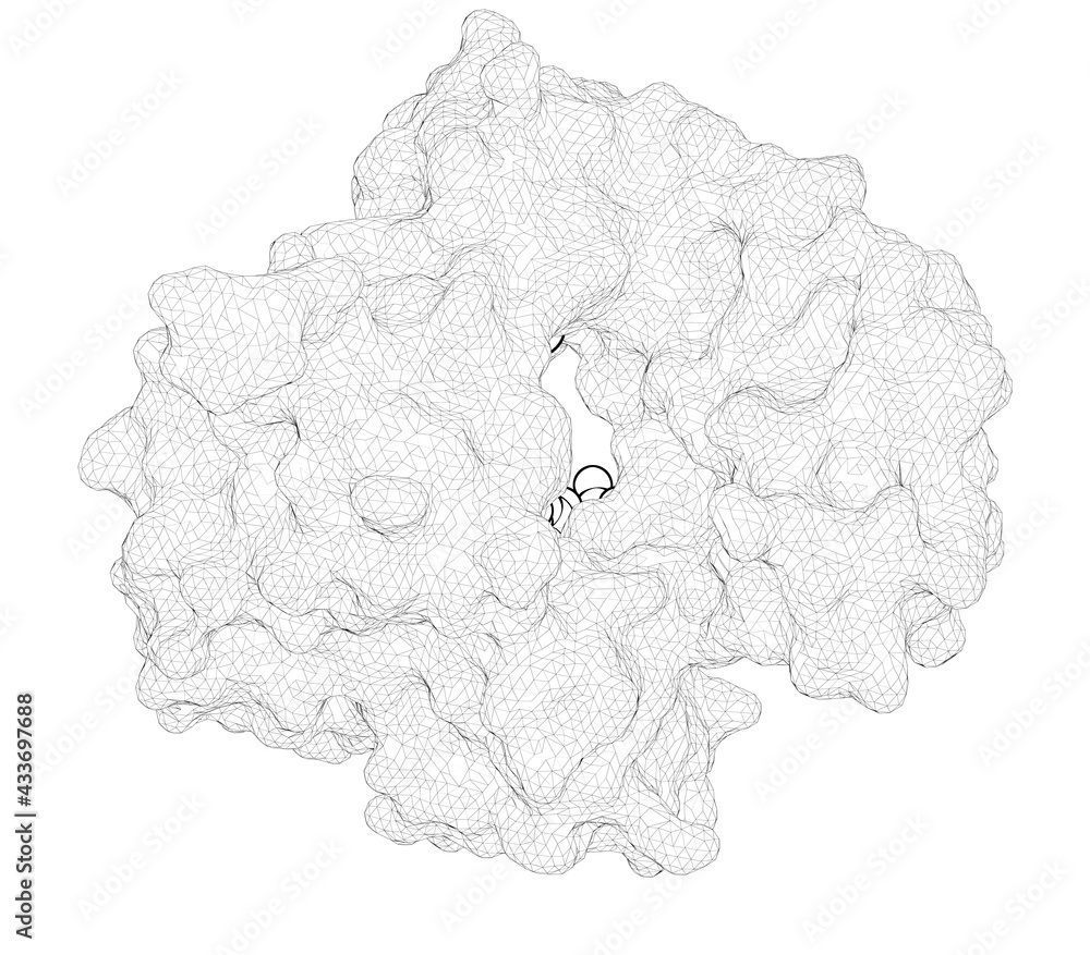 3D rendering as a line drawing of a molecule. Structural Basis for the ...