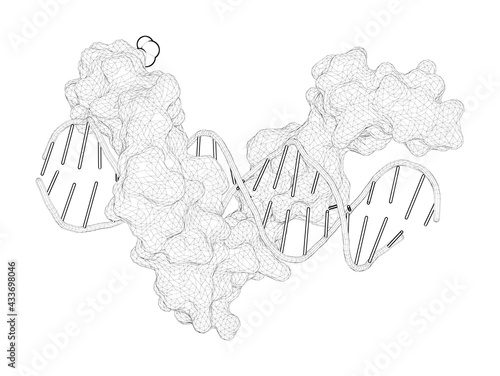Valokuva 3D rendering as a line drawing of a molecule