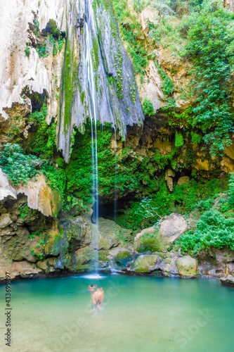 Big Waterfall of Akchour, Talassemtane national park, morocco photo