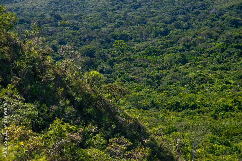 Landscape photographed in Chapada dos Veadeiros National Park, Goias. Cerrado Biome. Picture made in 2015.