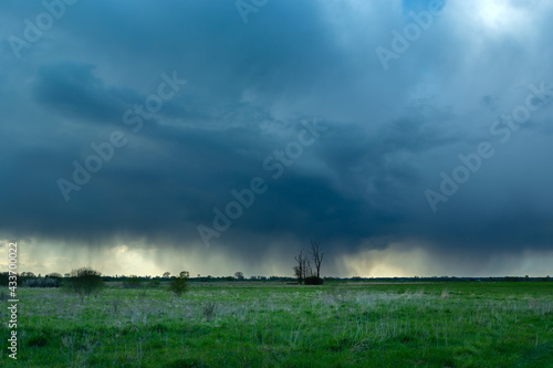 Rainy cloud over the meadows and lonely trees, Czulczyce, Poland