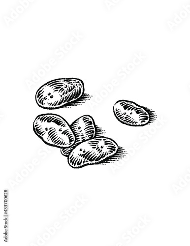 potato