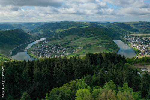 Mosel Rheinland-Pfalz - Weinanbau Weinherstellung Trauben Weinbau Weinbaugebiet Winzer Moselwein Weinland Wein Weingut