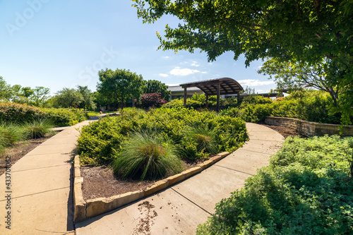 garden in the garden
