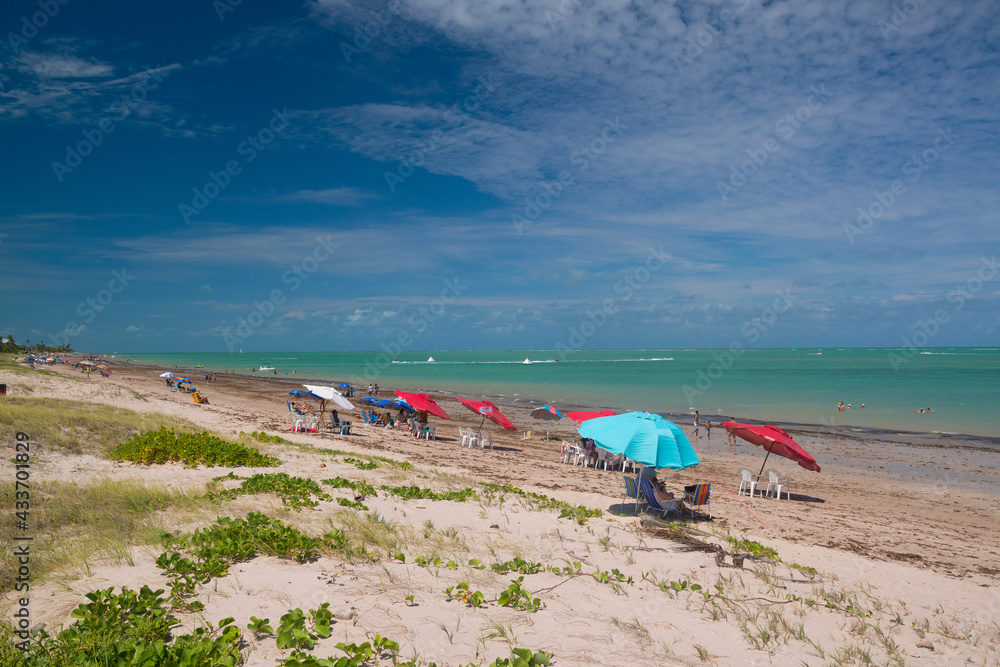 Fototapeta premium Colorful parasols at Camboinha beach in Cabedelo, near Joao Pessoa, Paraiba, Brazil on January 21, 2018.