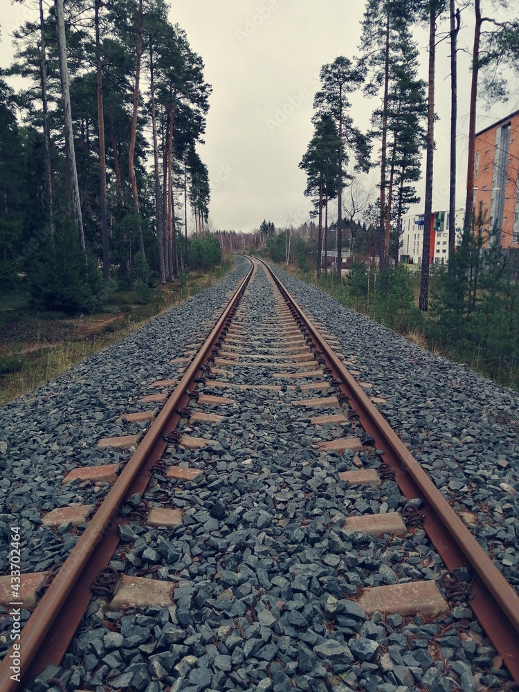 Obraz premium Forgotten Railway