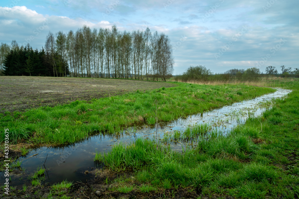 Ditch with water and trees beyond the field, Zarzecze, Poland
