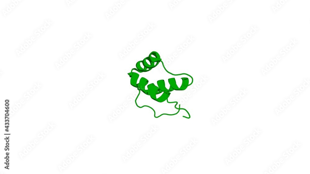 360º 3D rendering of a biological molecule. Conformational changes in the PBX homeodomain and C-terminal extension upon binding DNA and HOX-derived YPWM peptides. 360º 3D rendering of a biological molecule. Conformational changes in the PBX homeodomain and C-terminal extension upon binding DNA and HOX-derived YPWM peptides.