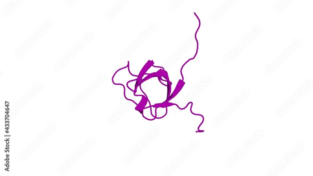 360º 3D rendering of a biological molecule. Solution Structure of the SH3 domain of the Vinexin protein 360º 3D rendering of a biological molecule. Solution Structure of the SH3 domain of the Vinexin protein