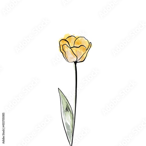 illustration of a yellow tulip. sketch of a yellow tulip, print, art