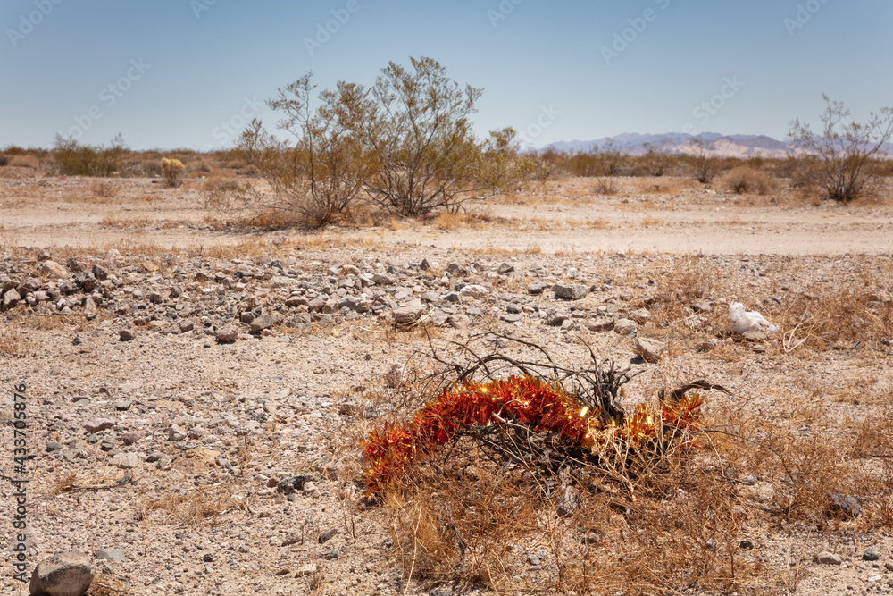 red garland torn from a dry boxwood in the middle of the Mojave desert