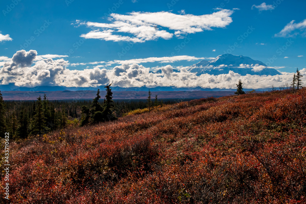 Fototapeta premium dramatic clouds partially covering Mt Mckinley in DEnali national park taken during autumn.