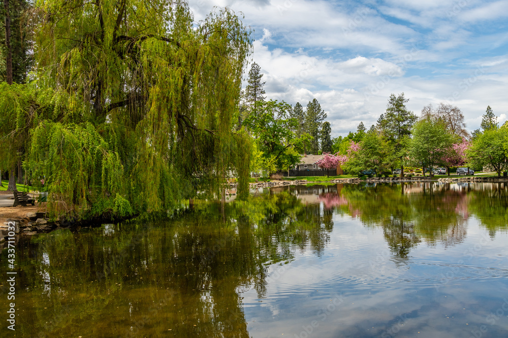 Fototapeta premium Mirror Pond At Manito Park. Spokane Washington.