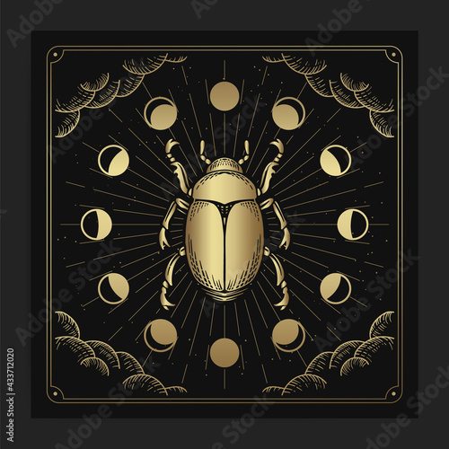 Scarab, animal insect with engraving, hand drawn, luxury, celestial, esoteric, boho style, fit for spiritualist, religious, paranormal, tarot reader, astrologer or tattoo vector