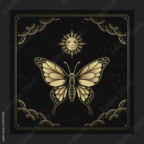 Beautiful butterflies with engraving, hand drawn, luxury, celestial, esoteric, boho style, fit for spiritualist, religious, paranormal, tarot reader, astrologer or tattoo vector