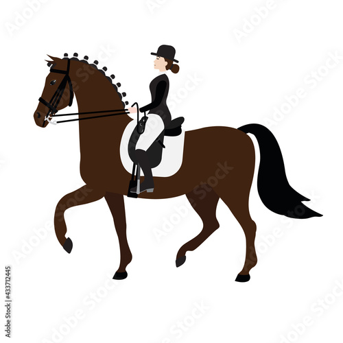 Vector flat colored hand drawn woman girl riding dressage horse isolated on white background © Sweta