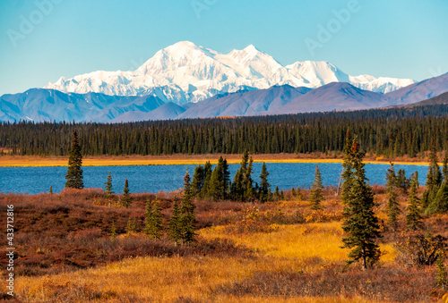 the majestic snow capped  mt. denali on a clear blue autumn day.