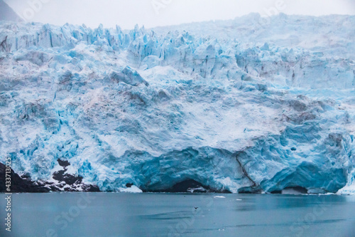 bluish glacier field in Kenai Ffjords national park in Alaska.