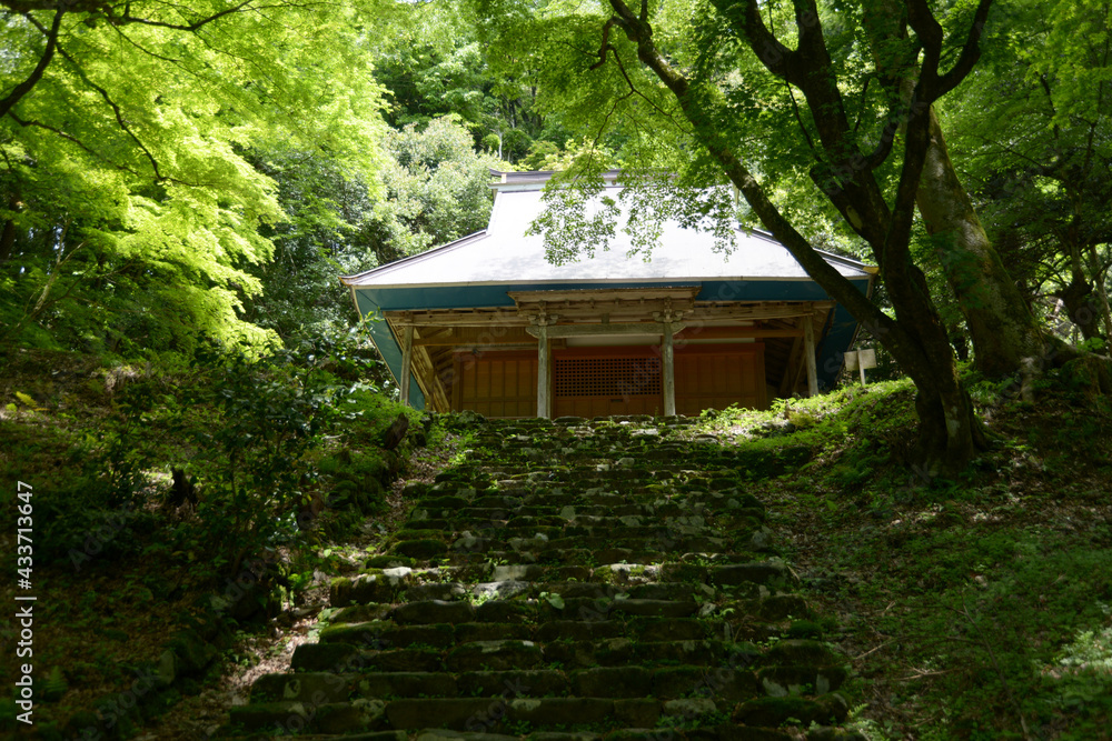 新緑の鶏足寺　本堂　滋賀県長浜市