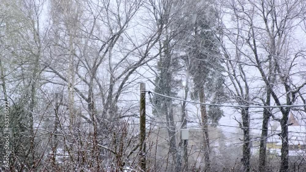 Snowstorm on the background of a rural landscape Snowstorm on the background of a rural landscape