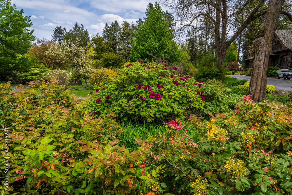 Perennial Gardens At Manito Park. Spokane, Washington. Perennial Gardens At Manito Park. Spokane, Washington.