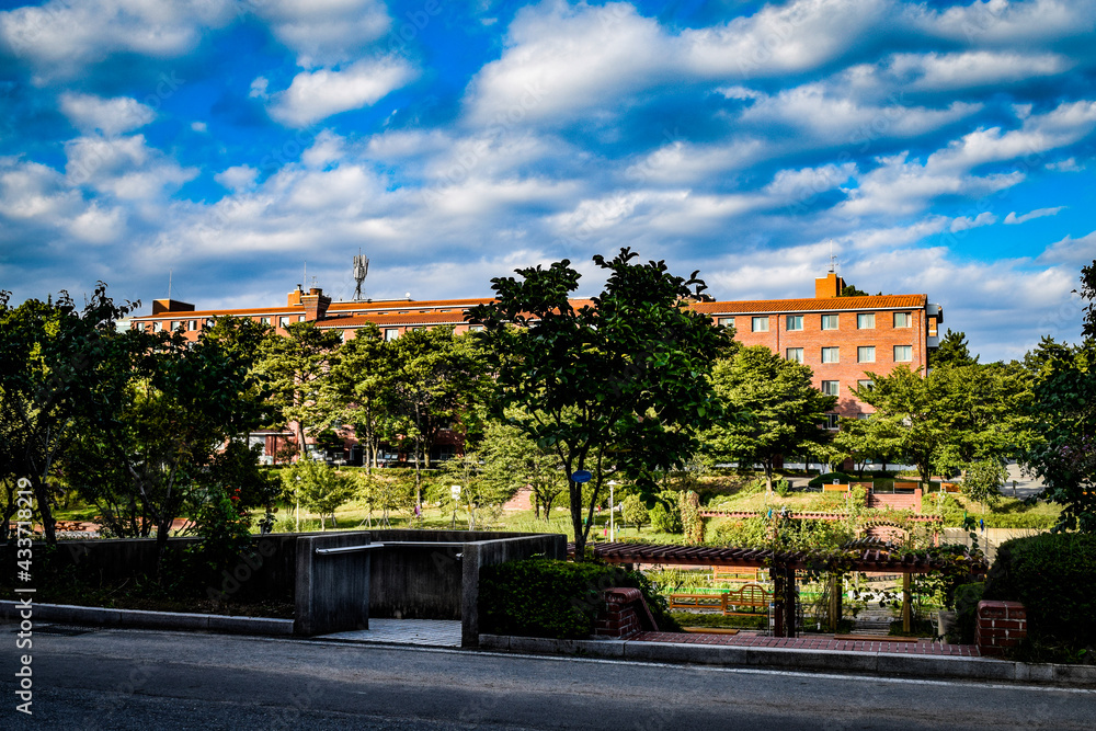 Fototapeta premium 韓国、大邱大学を散策する