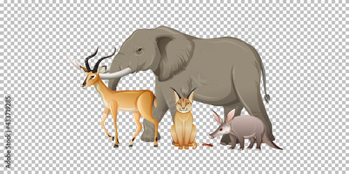 Group of wild african animal on transparent background