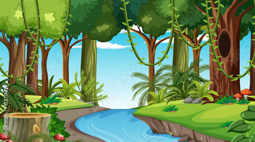 Forest landscape scene at day time with many different trees